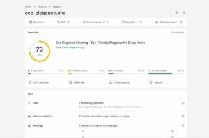 Initial SEO Score - 73/100